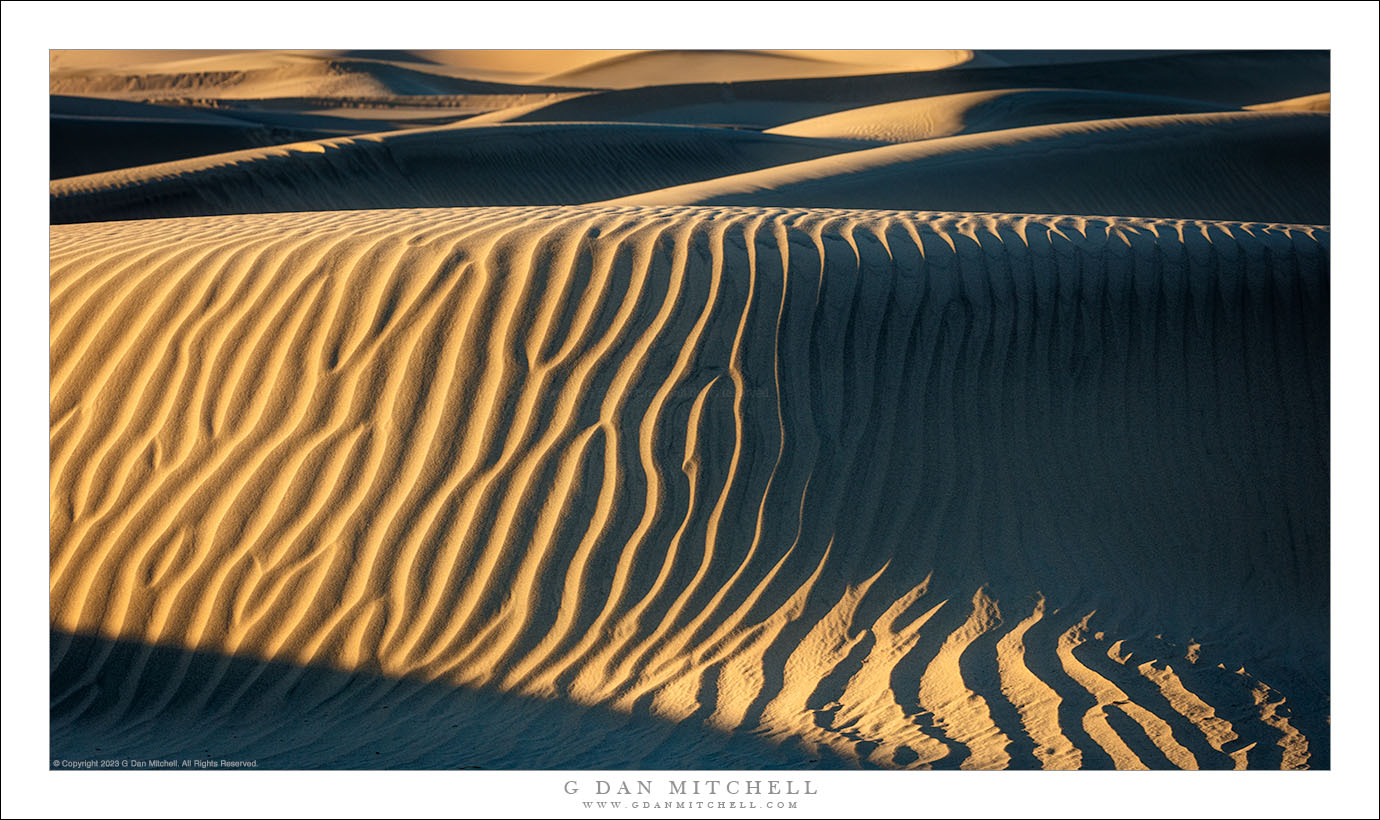 Dune Patterns, Evening