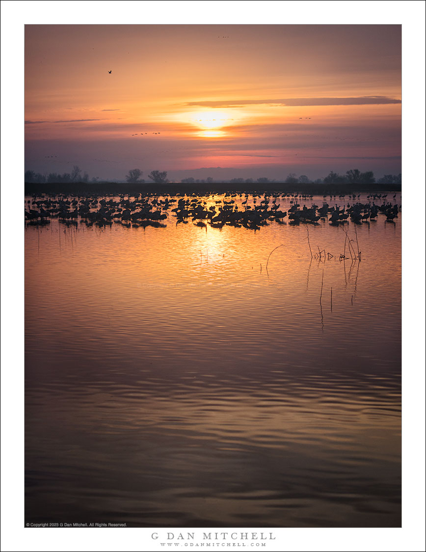 Sunrise, Wetlands