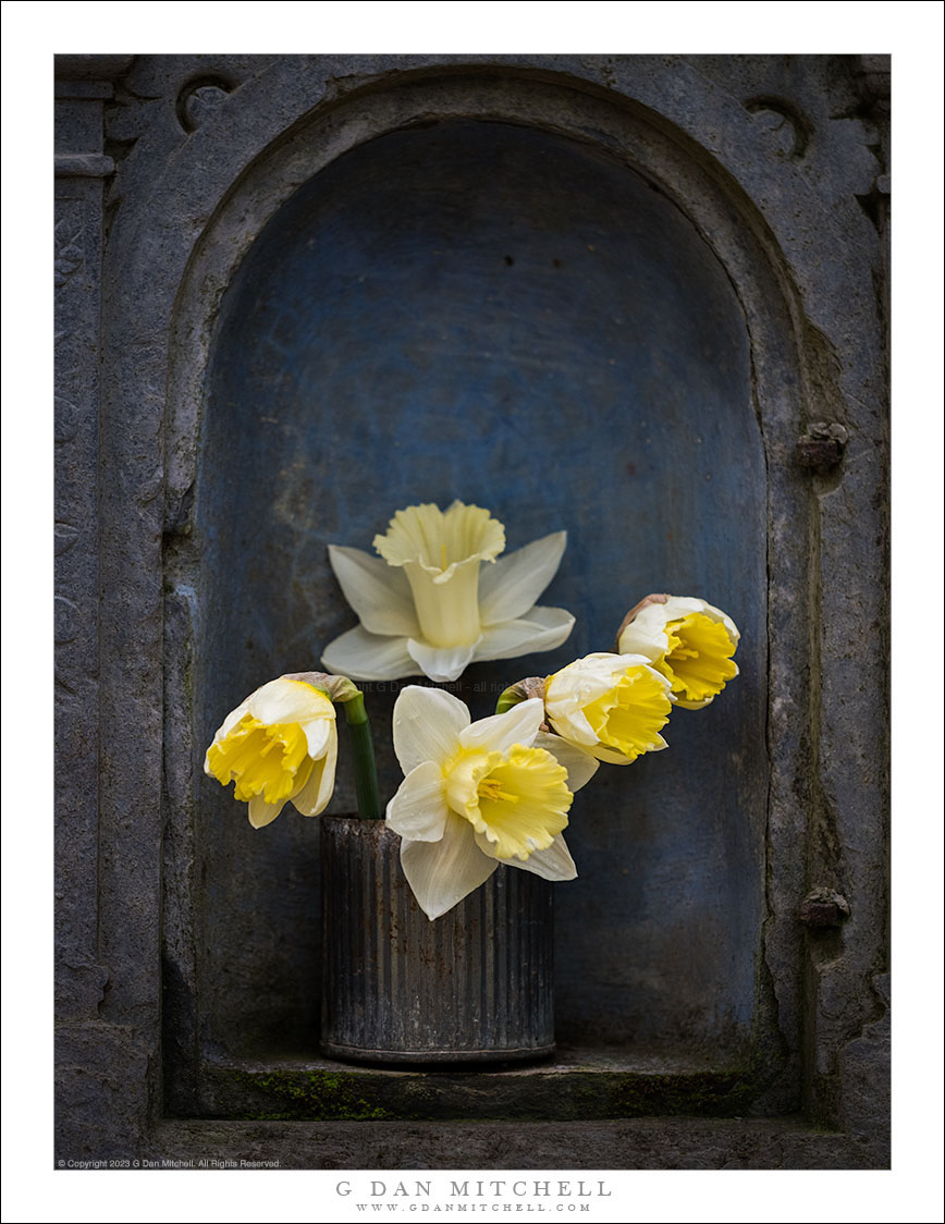 Alcove With Flowers