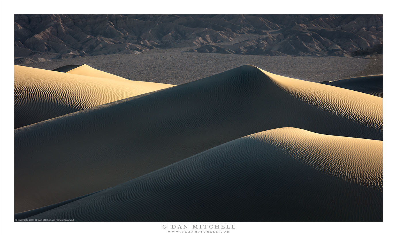 Morning Light on Dunes