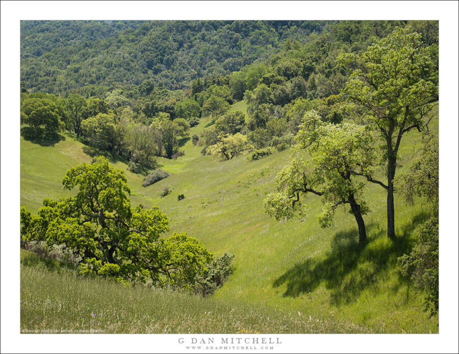 Valley, Spring | G Dan Mitchell Photography