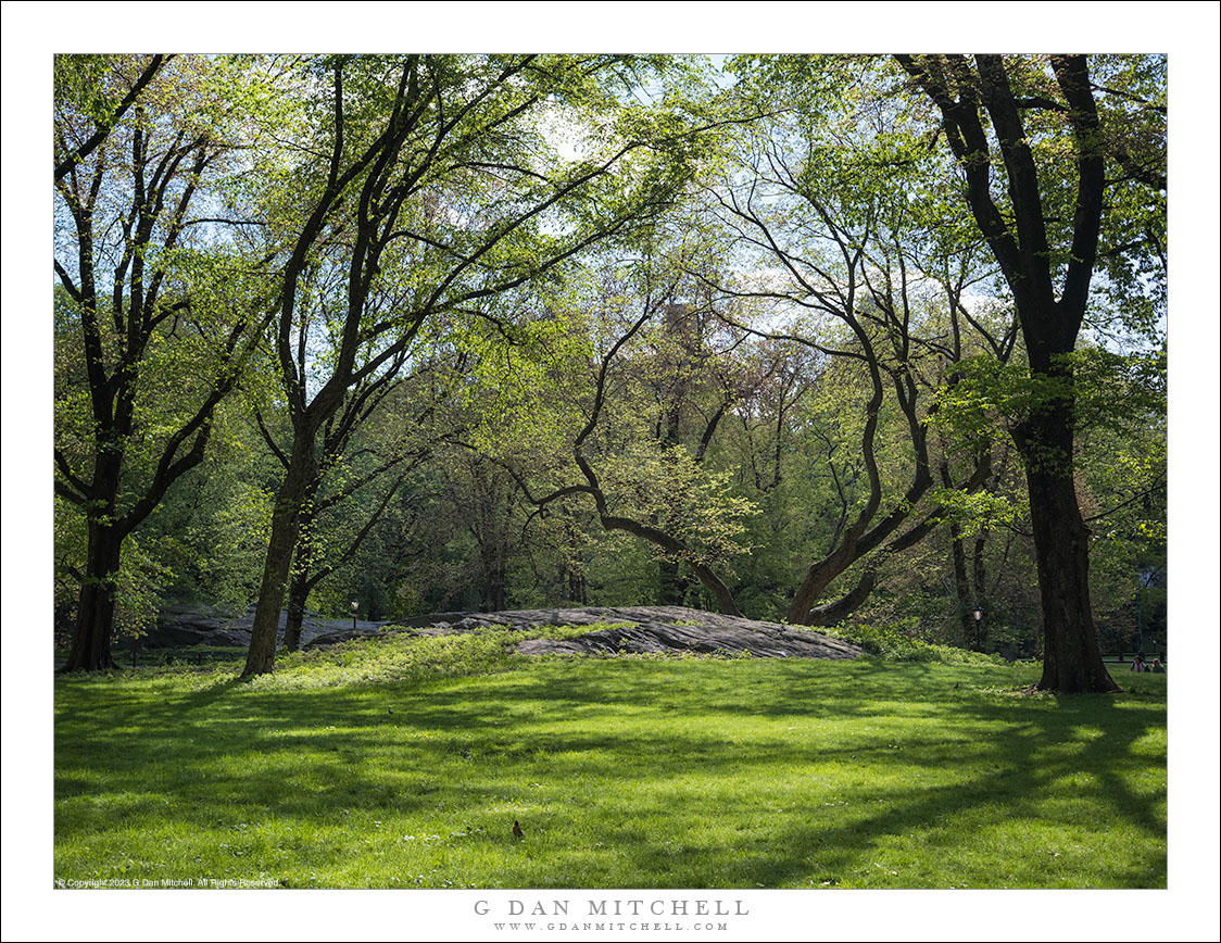 Central Park, printemps