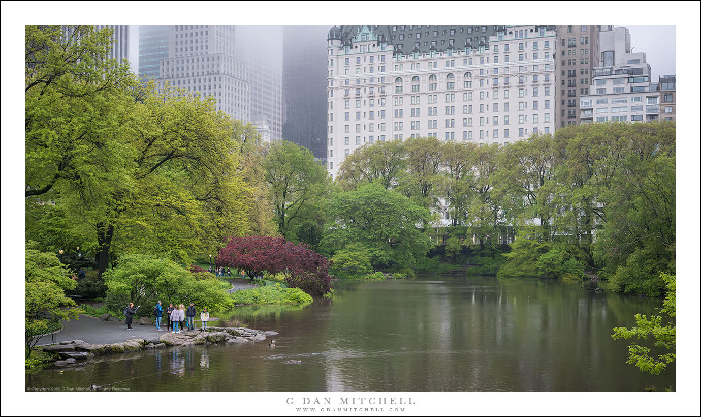 Central Park, pluie de printemps