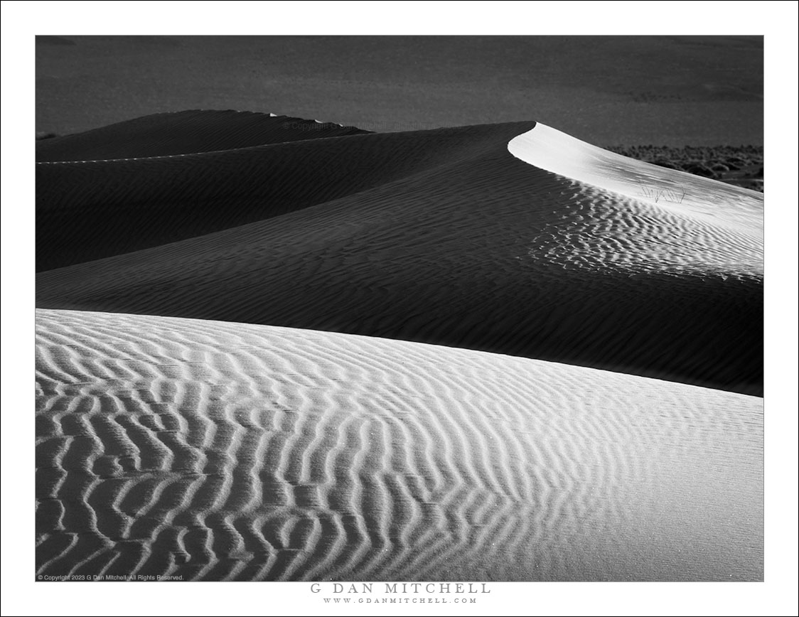 Morning Dunes