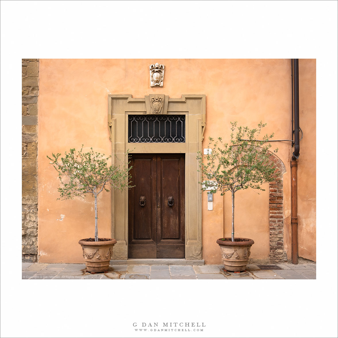 Doorway, Two Olive Trees