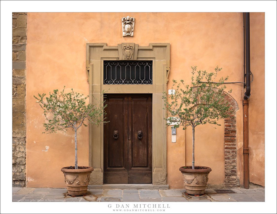 Doorway, Two Olive Trees