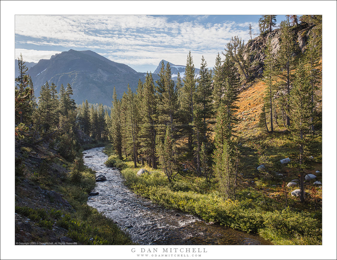 Mountains, Forest, and Stream