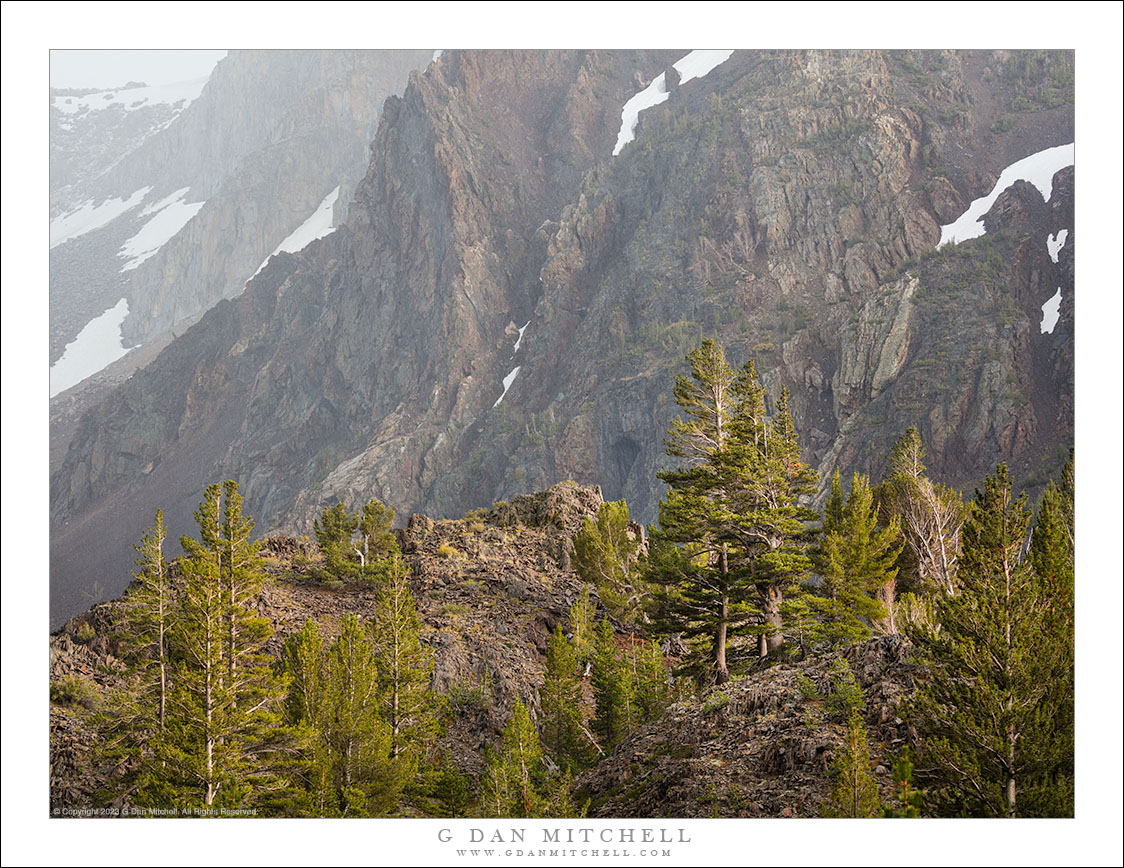 Ridgeline Trees, Incoming Storm