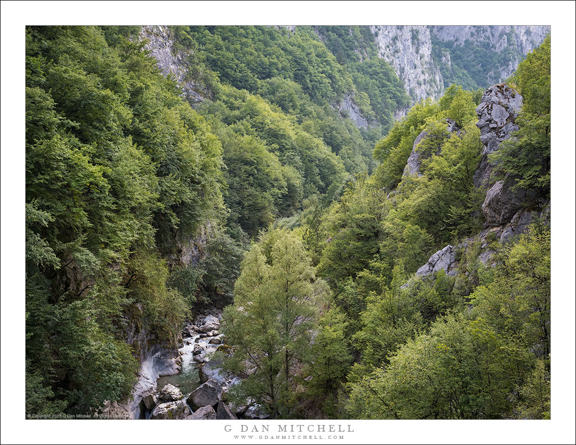 Gorge, River, and Forest