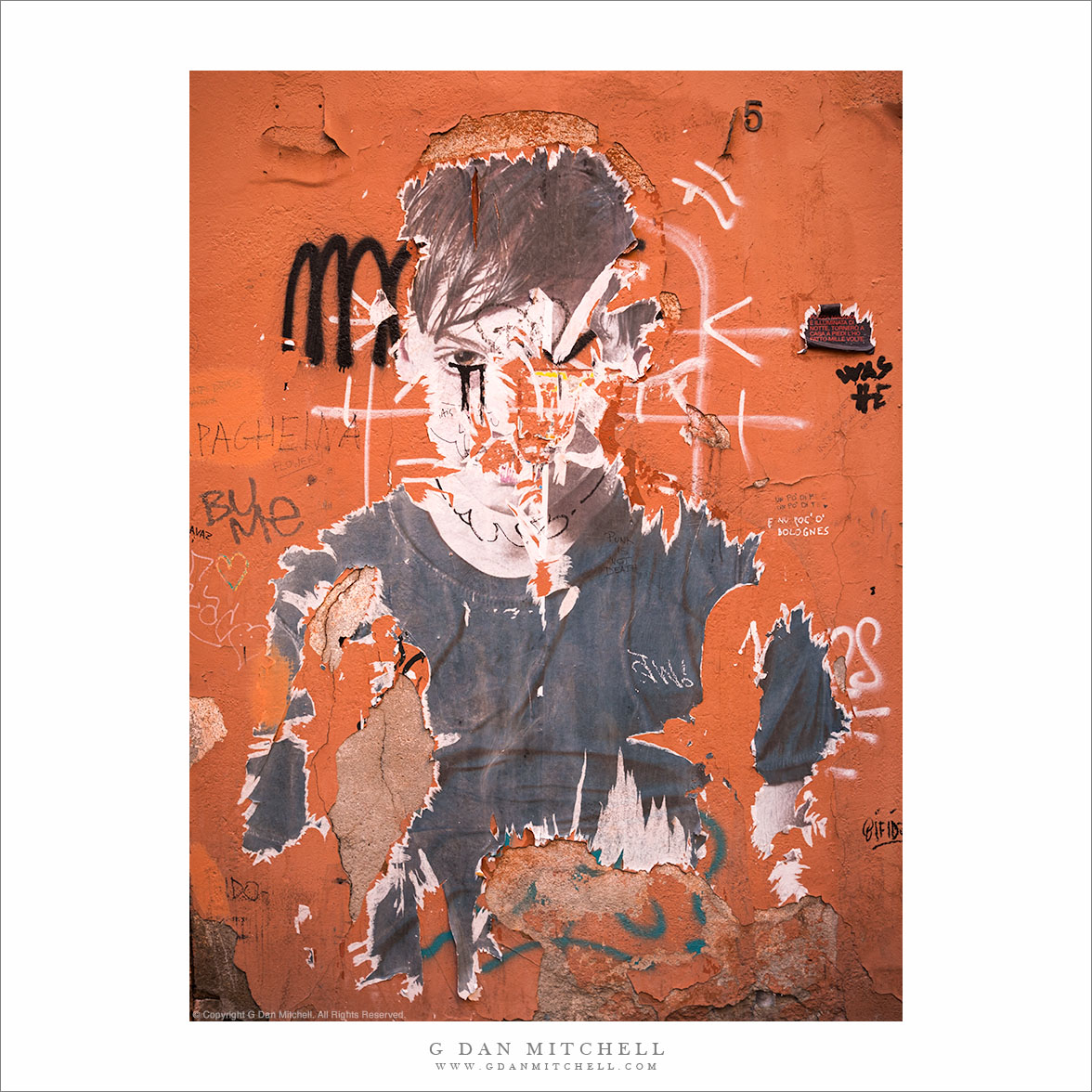 "street art, bologna"