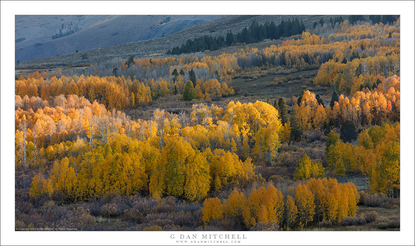 Last Beam of Light