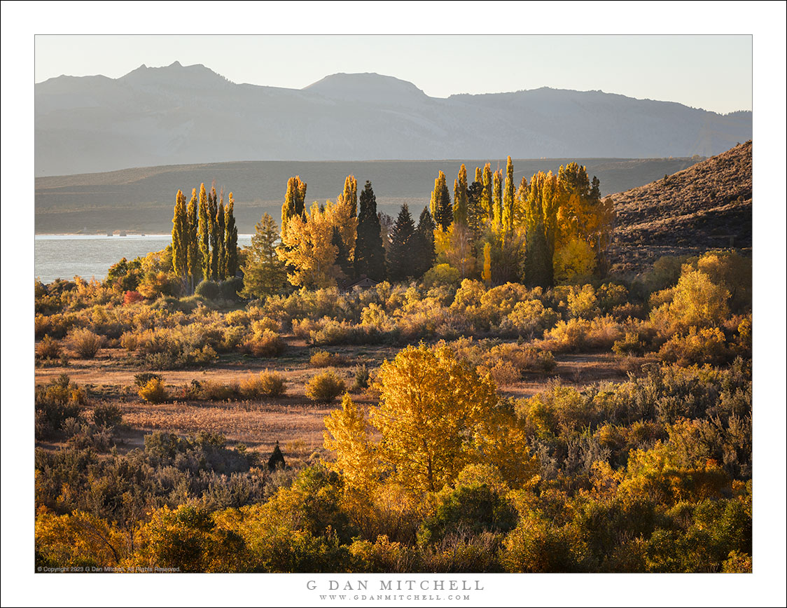 Mono Shoreline, Autumn