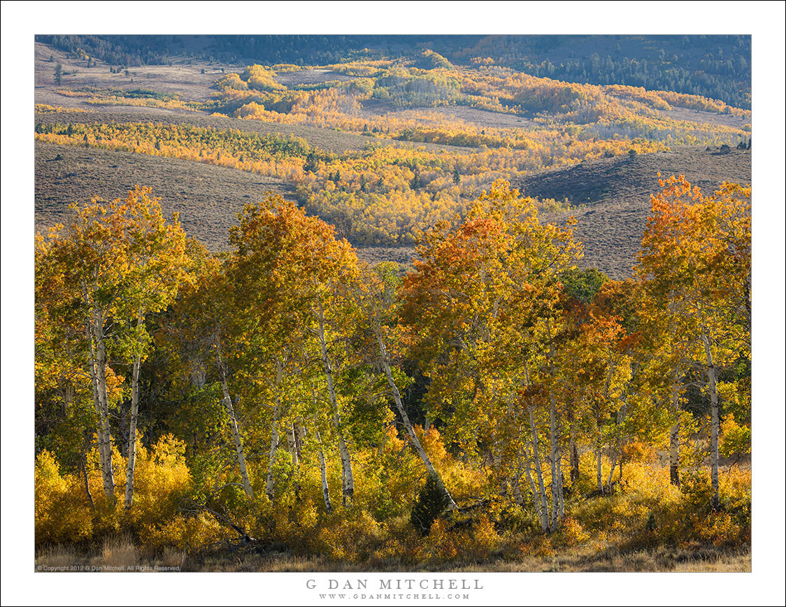 Aspen Slopes