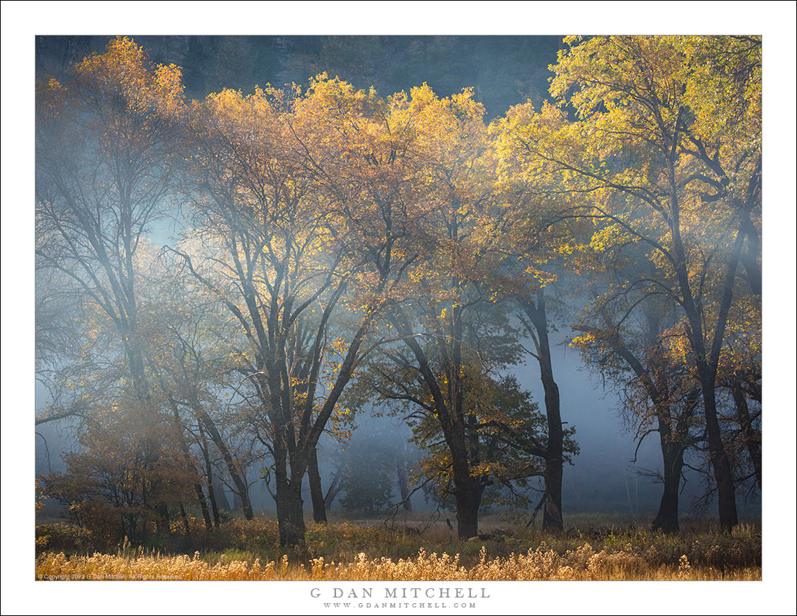 Autumn Meadow, Drifting Smoke