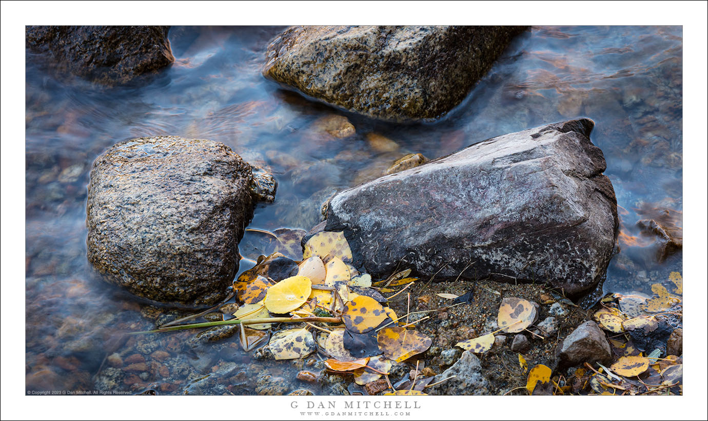 Lake's Edge