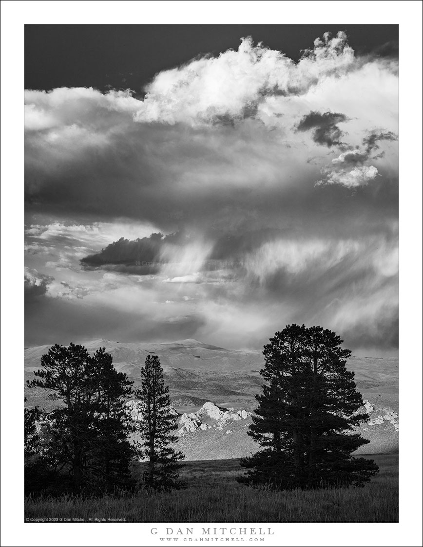 Storm Clouds, Trees in Silhouette