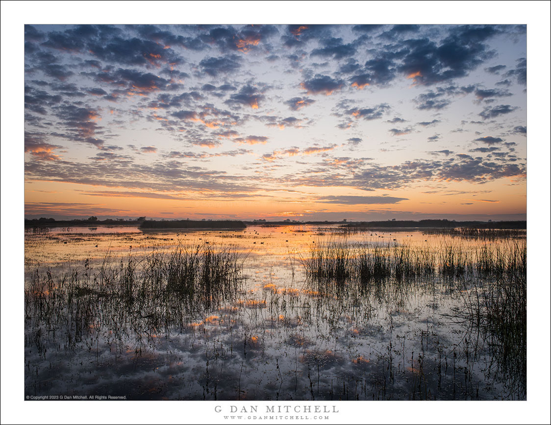 Autumn Sunrise, Wetlands