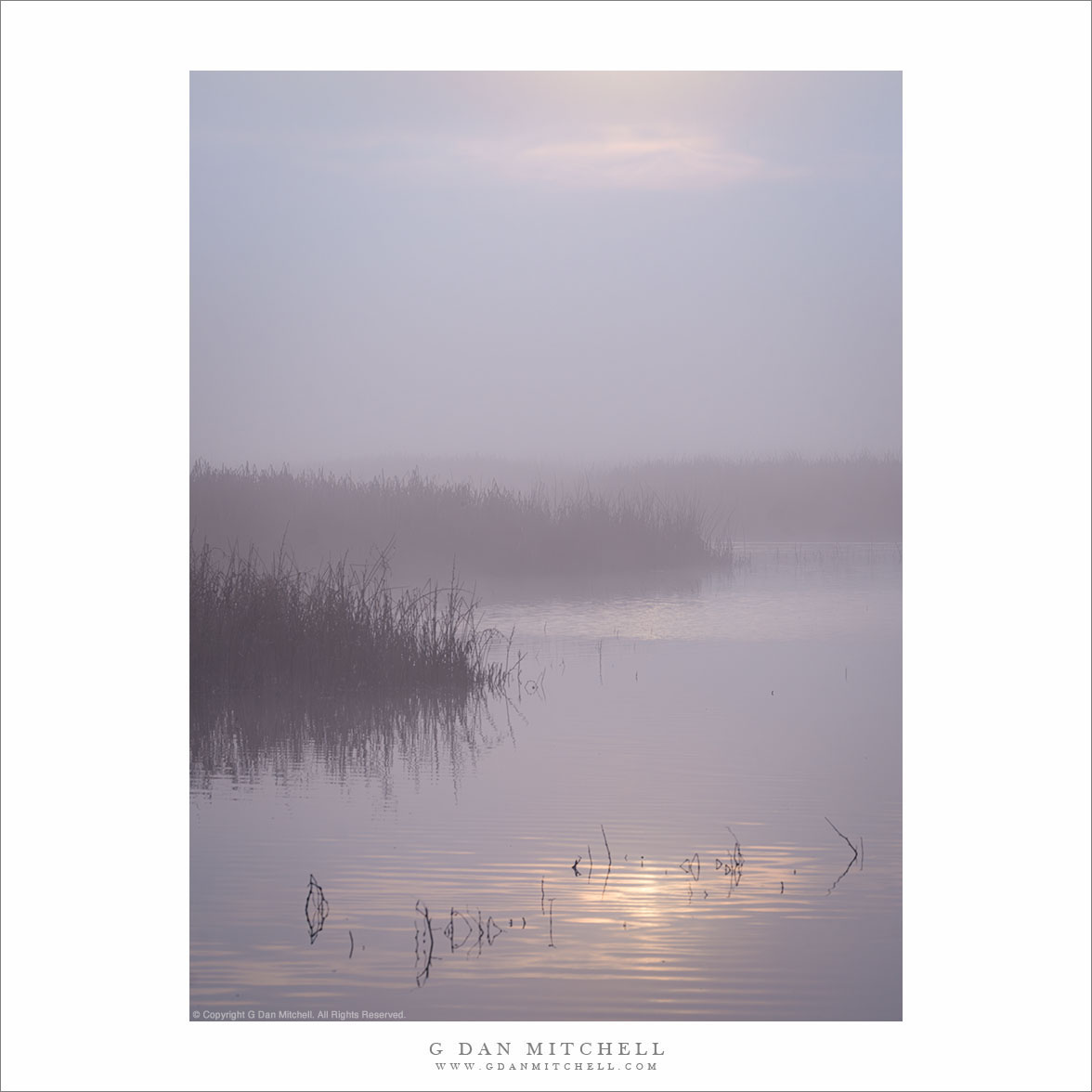 Tule Fog and Reflection