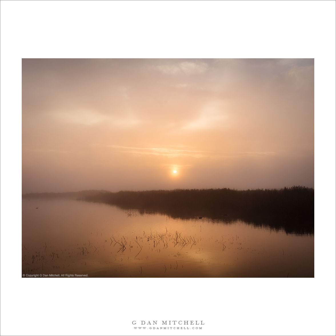 Foggy Wetlands Sunrise