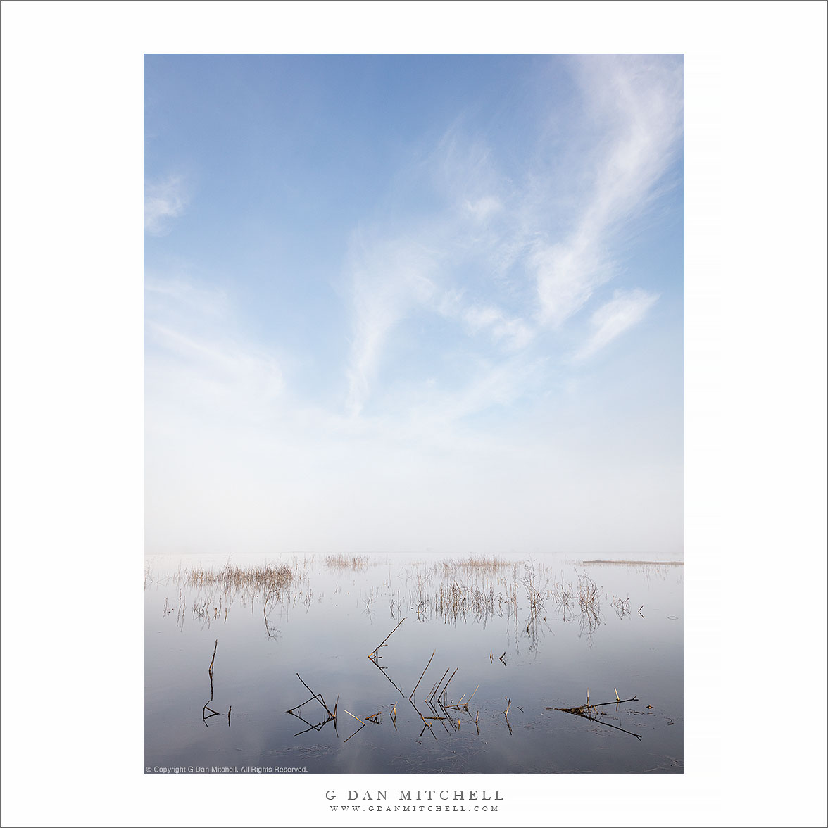 Wetlands, Winter Sky