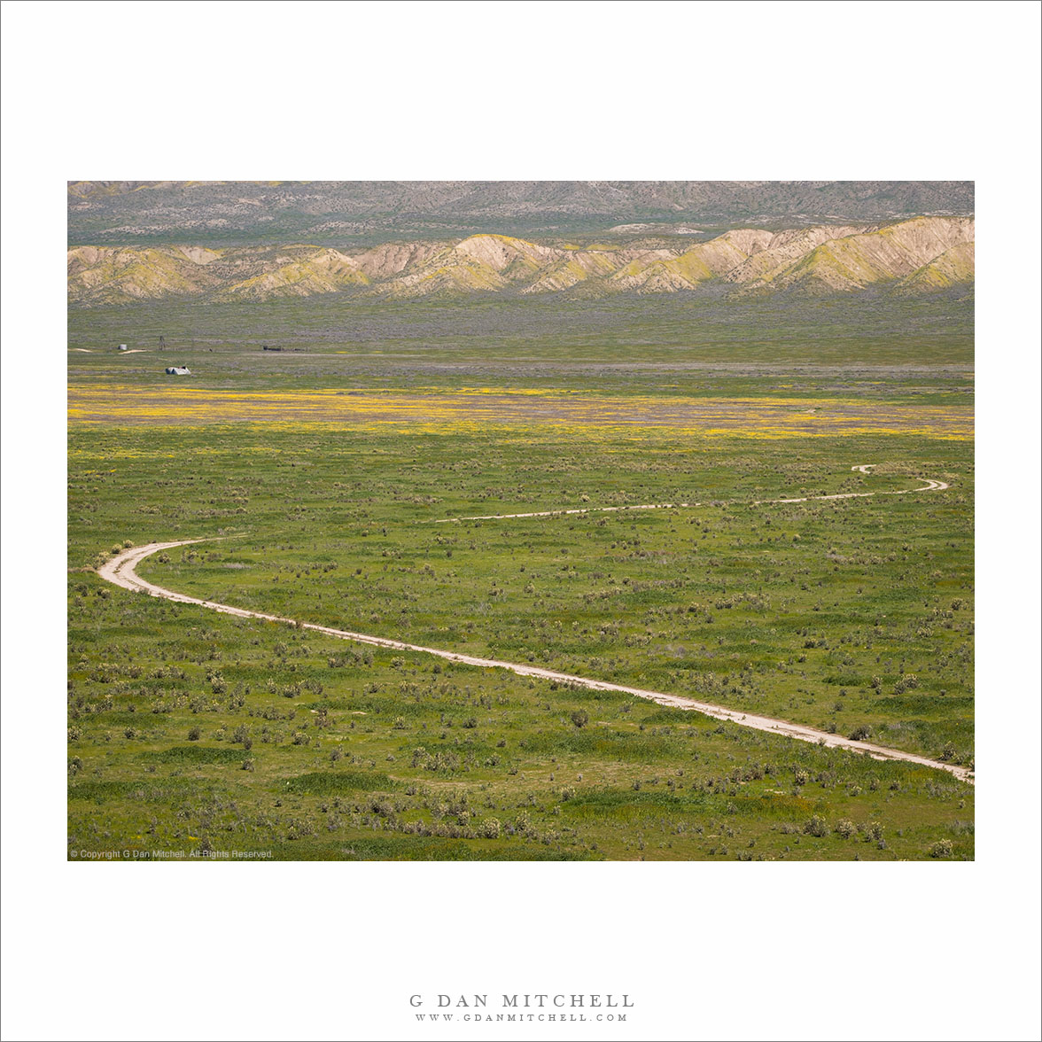 Gravel Road, Carrizo Plain