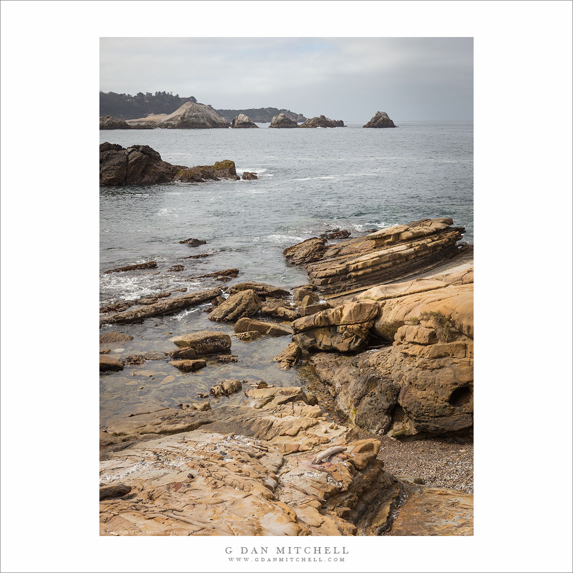 Clearing Fog, Point Lobos