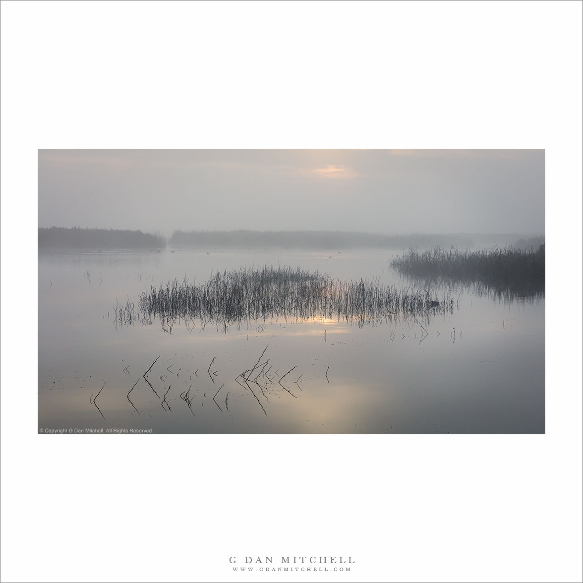 Wetland Reflections, Winter Morning | G Dan Mitchell Photography