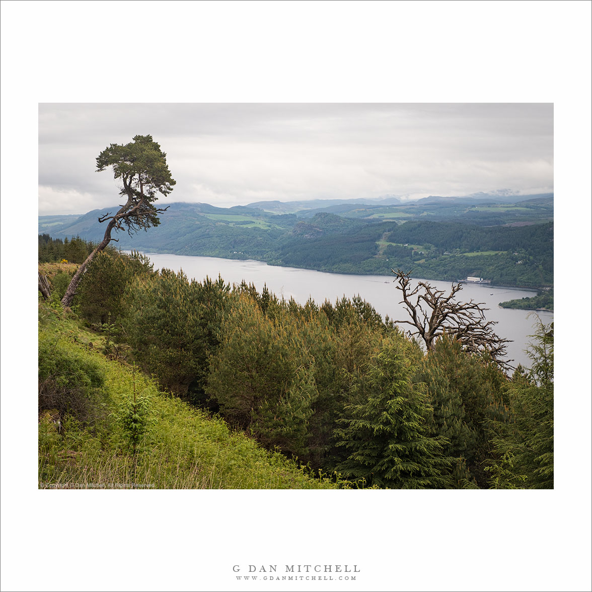 Loch Ness From The Great Glen Way