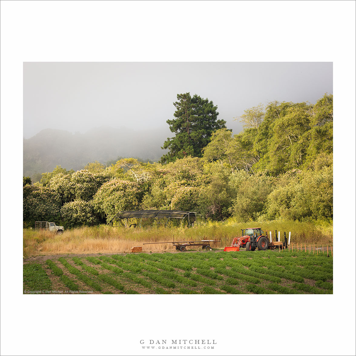 Farm, Clearing Fog