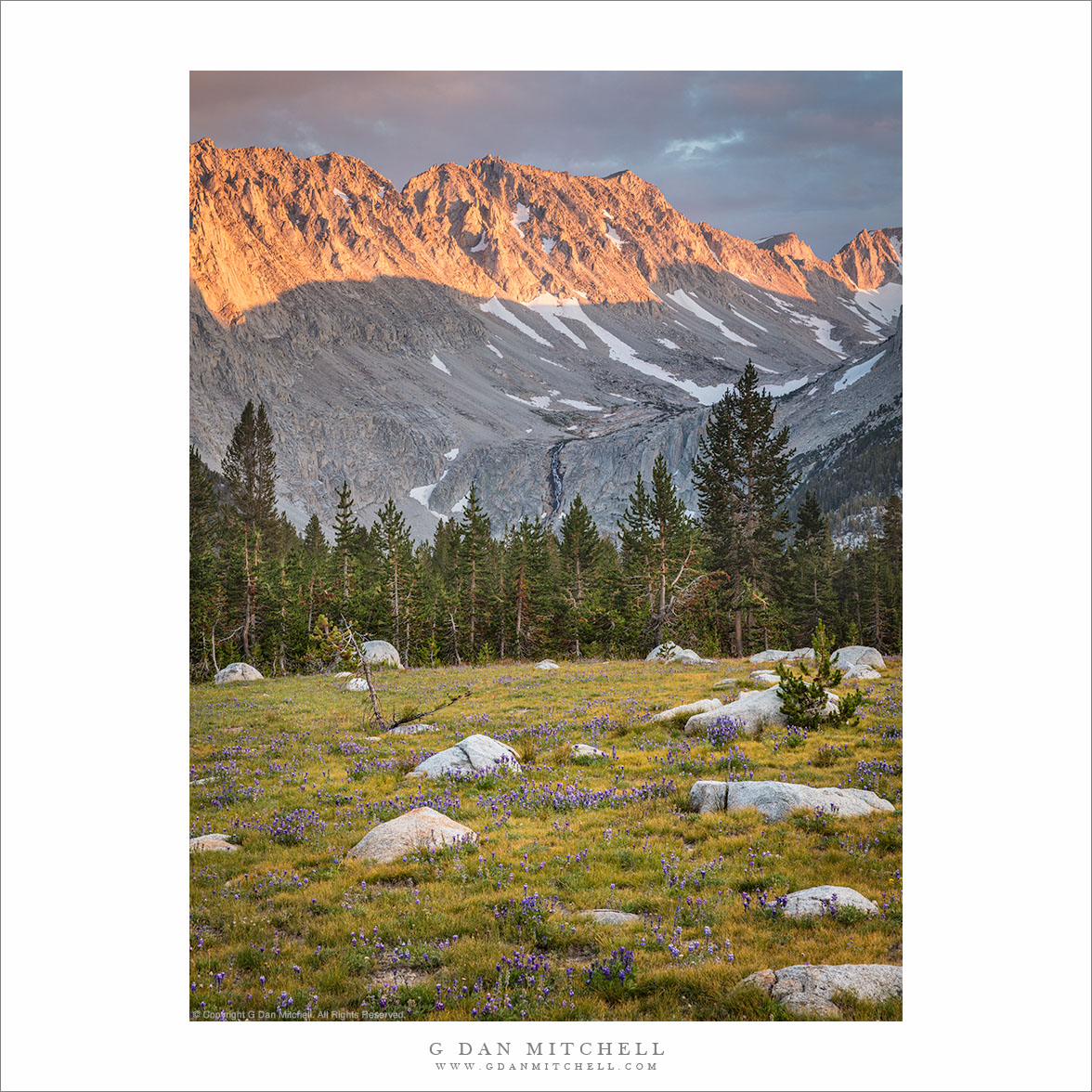 Alpenglow, Meadow