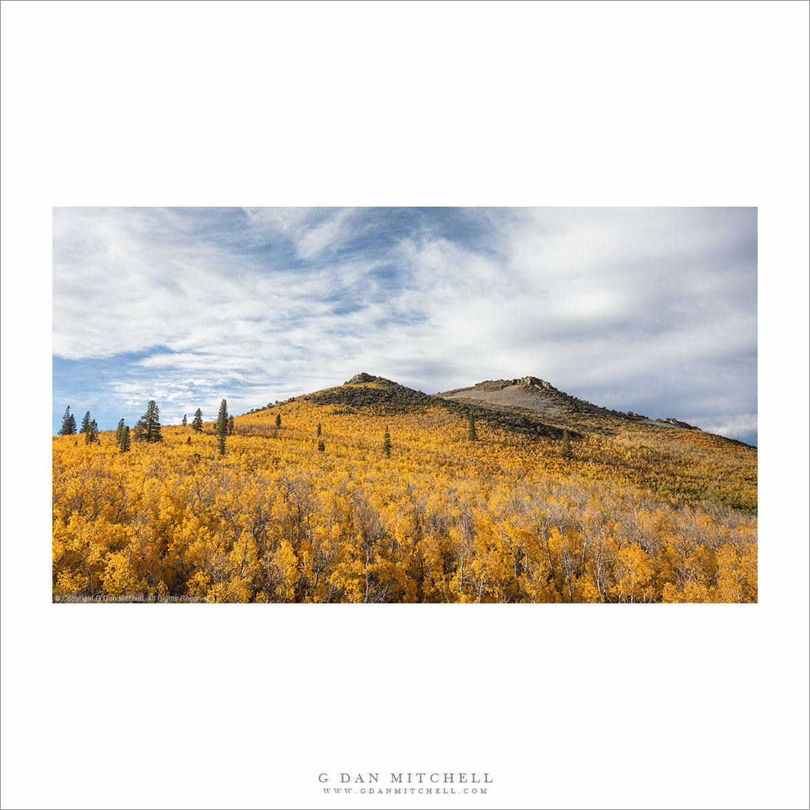 Two Peaks, Aspens