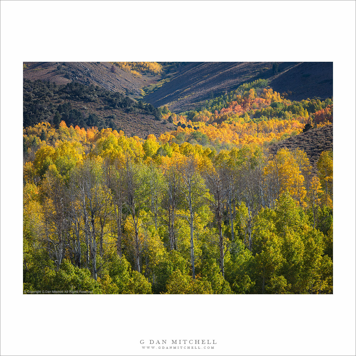 Aspen Transitions