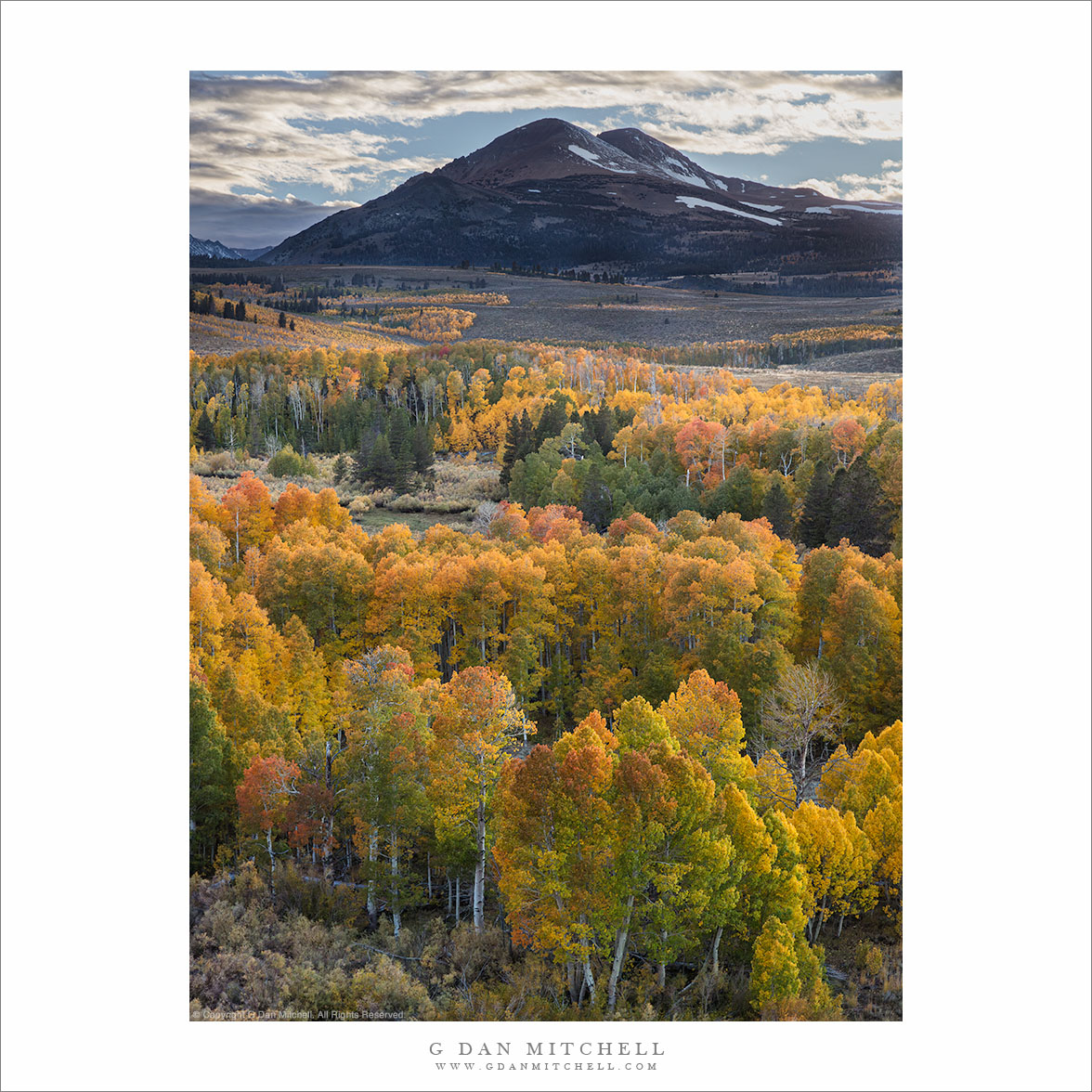 Peaks and Autumn Aspens