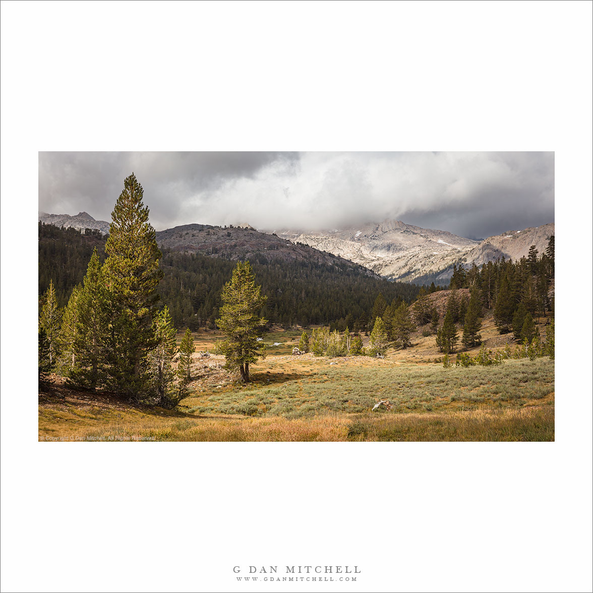 Meadow, Storm Clouds