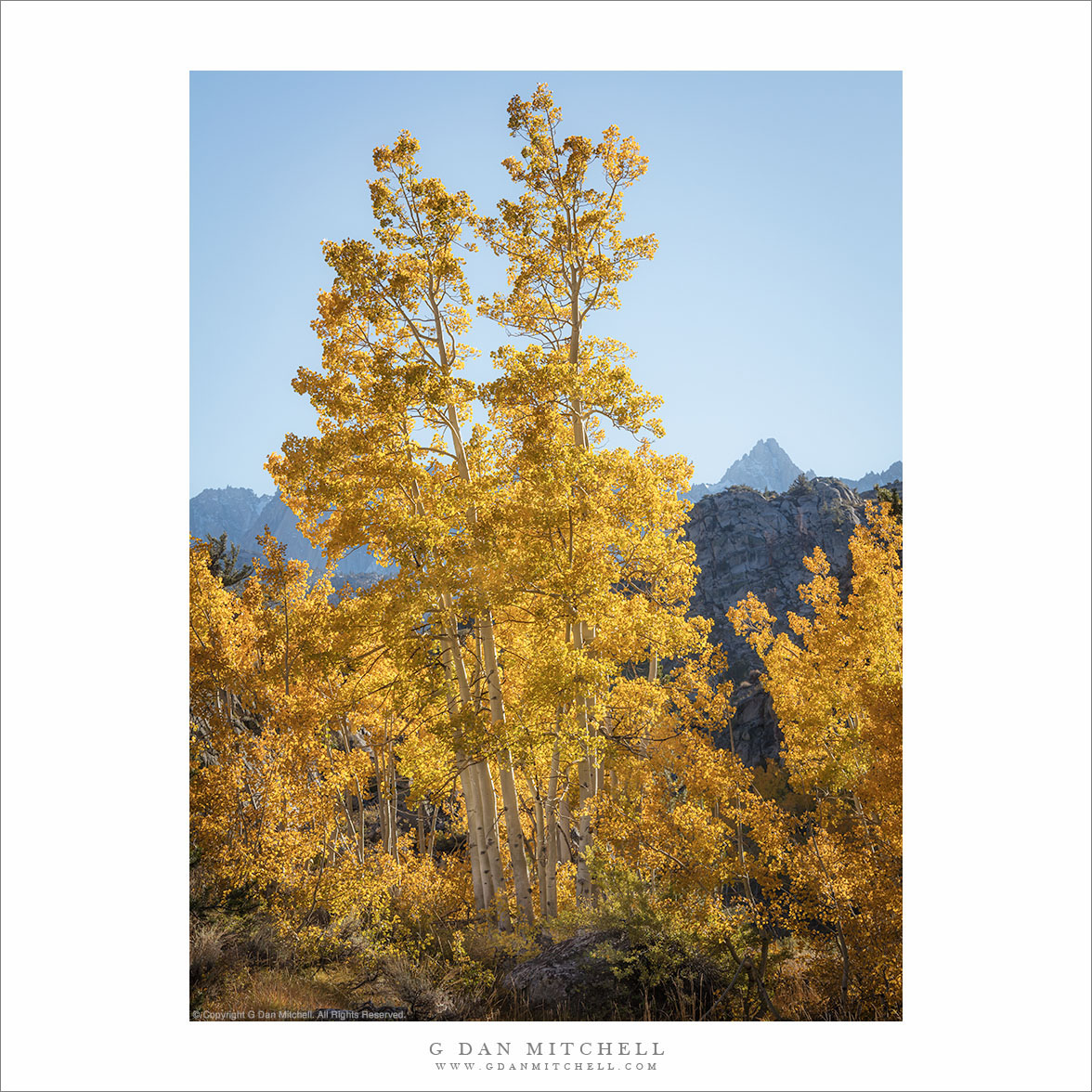 Aspen Color, Bishop Canyon