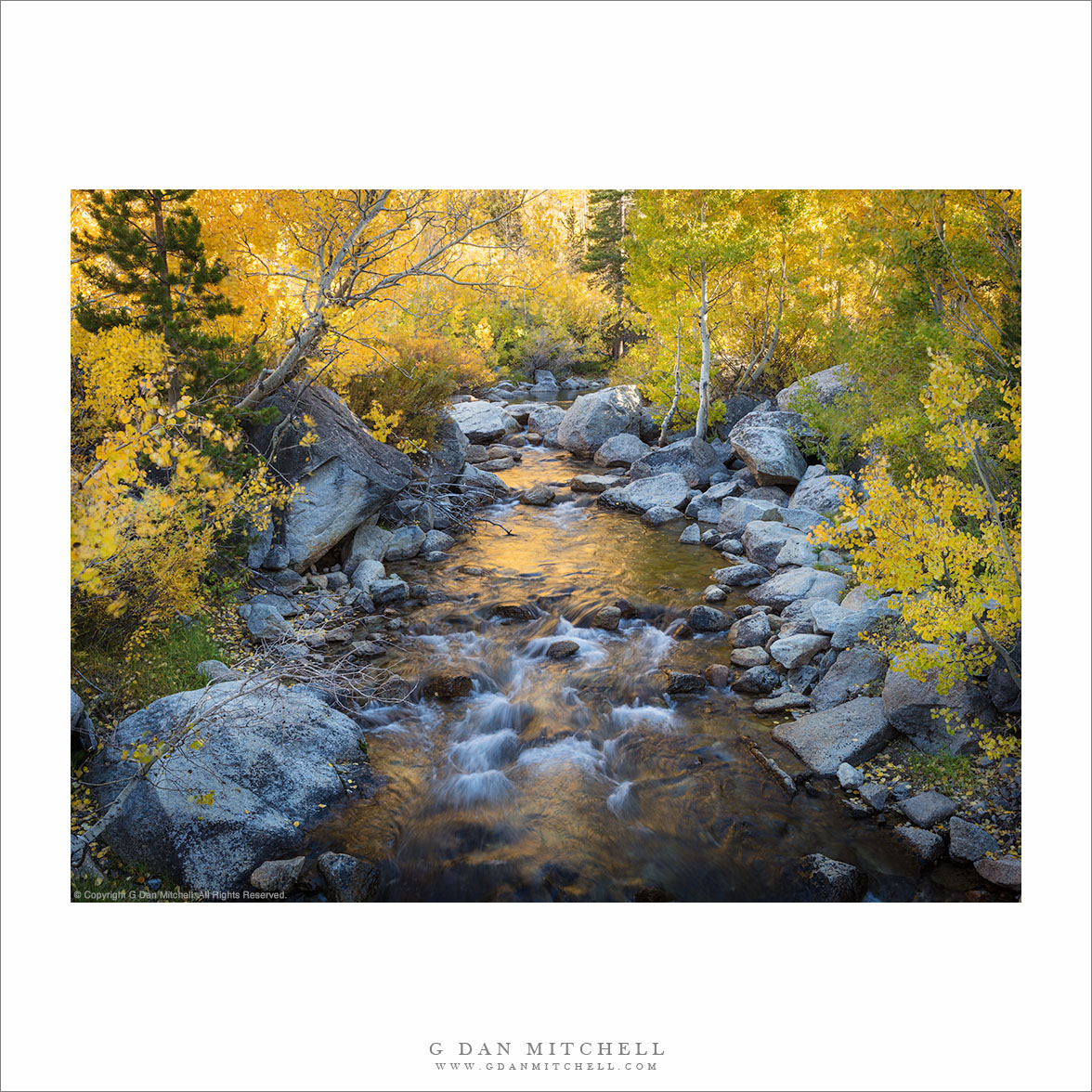 Stream, Autumn Reflections