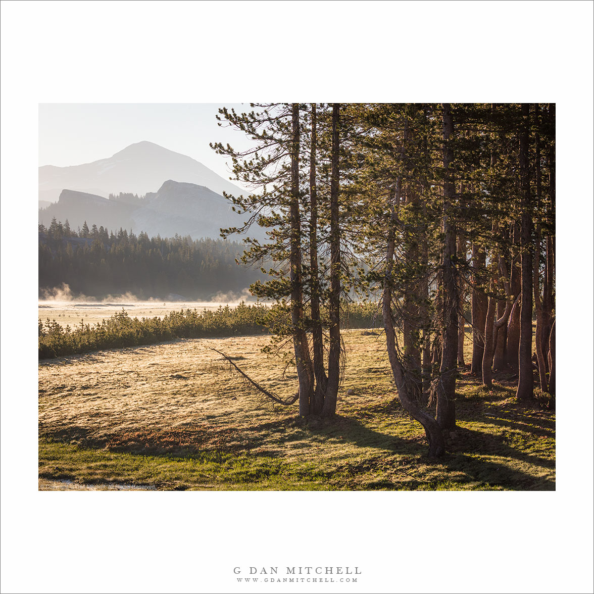 Meadow, Mountains, Morning Mist
