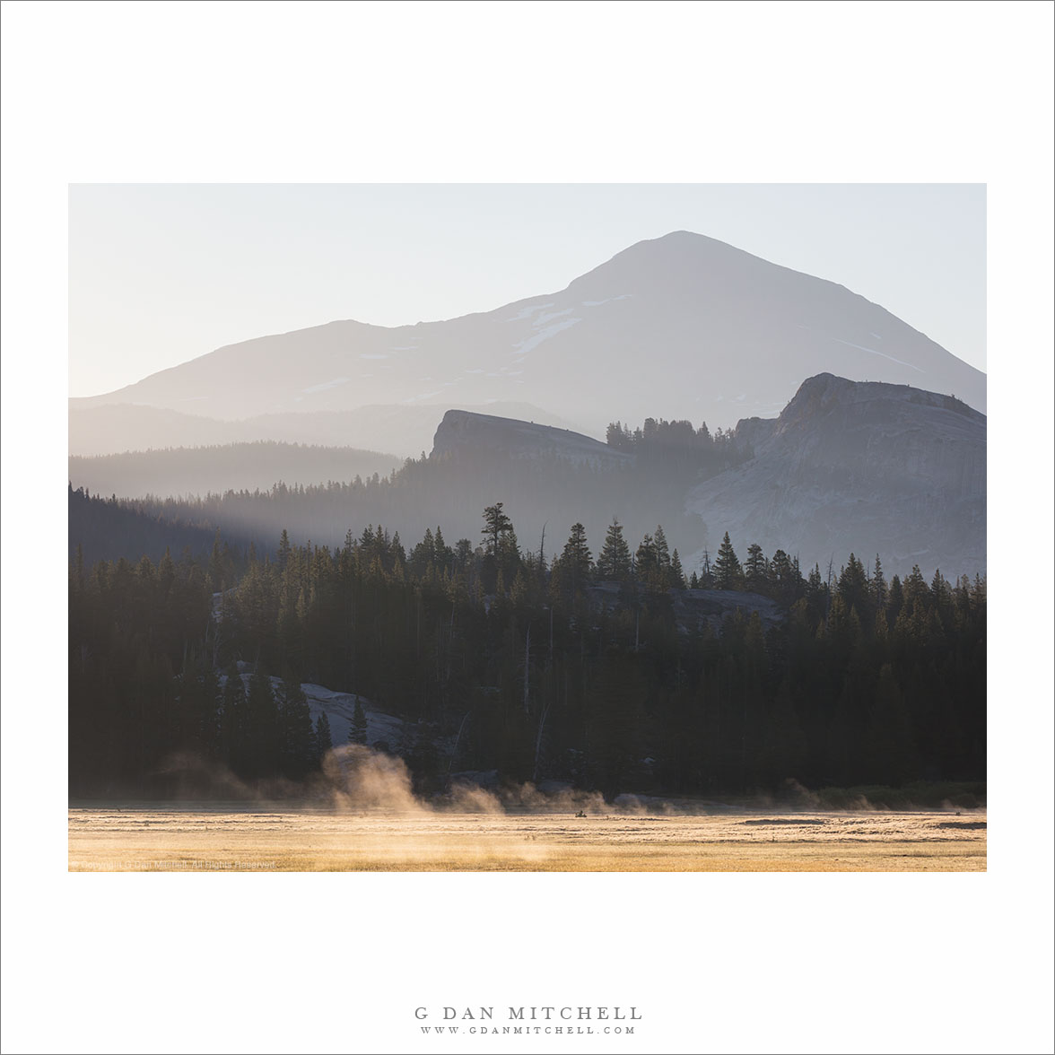 Mountains, Meadow, and Morning Mist