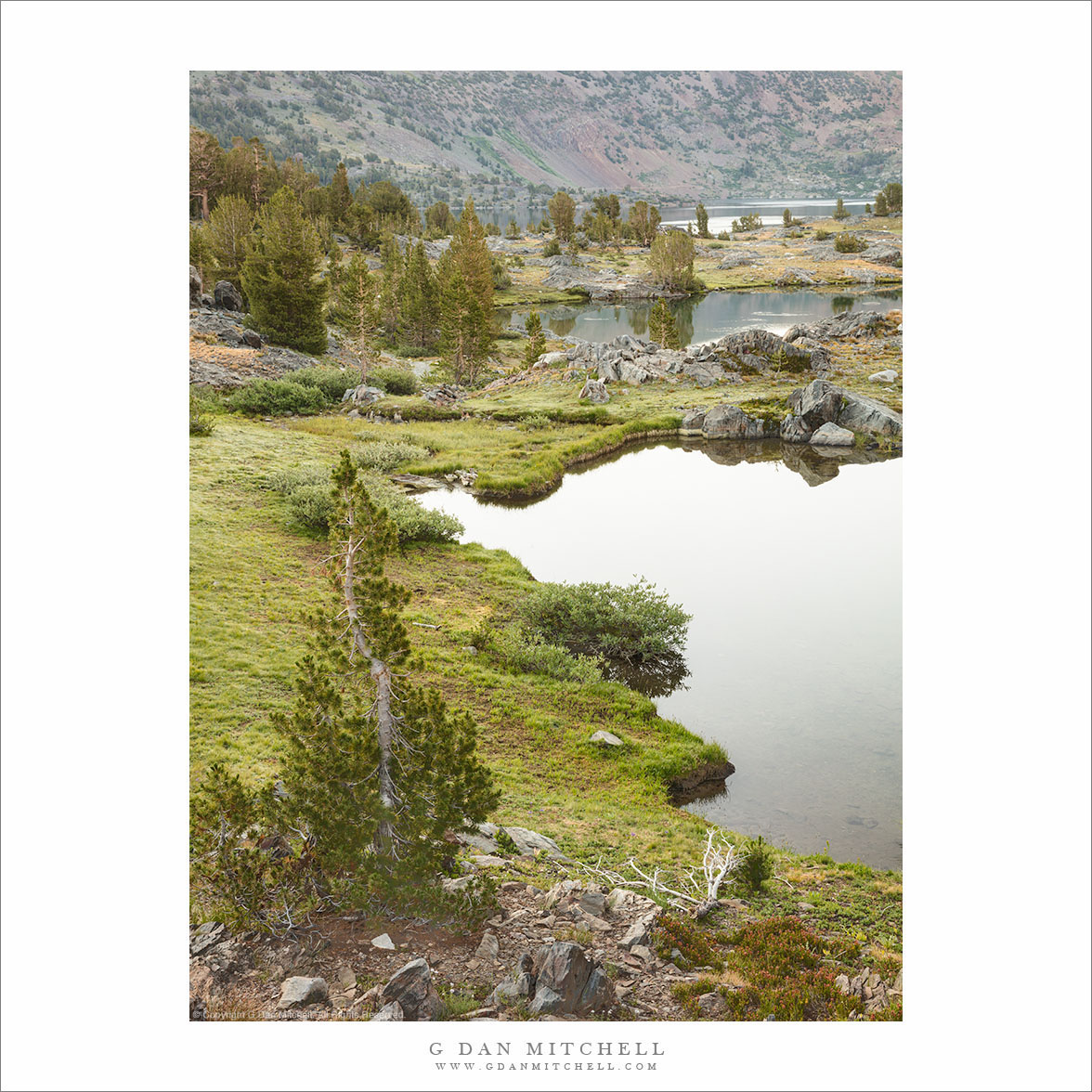 Lakes Meadows, and Trees