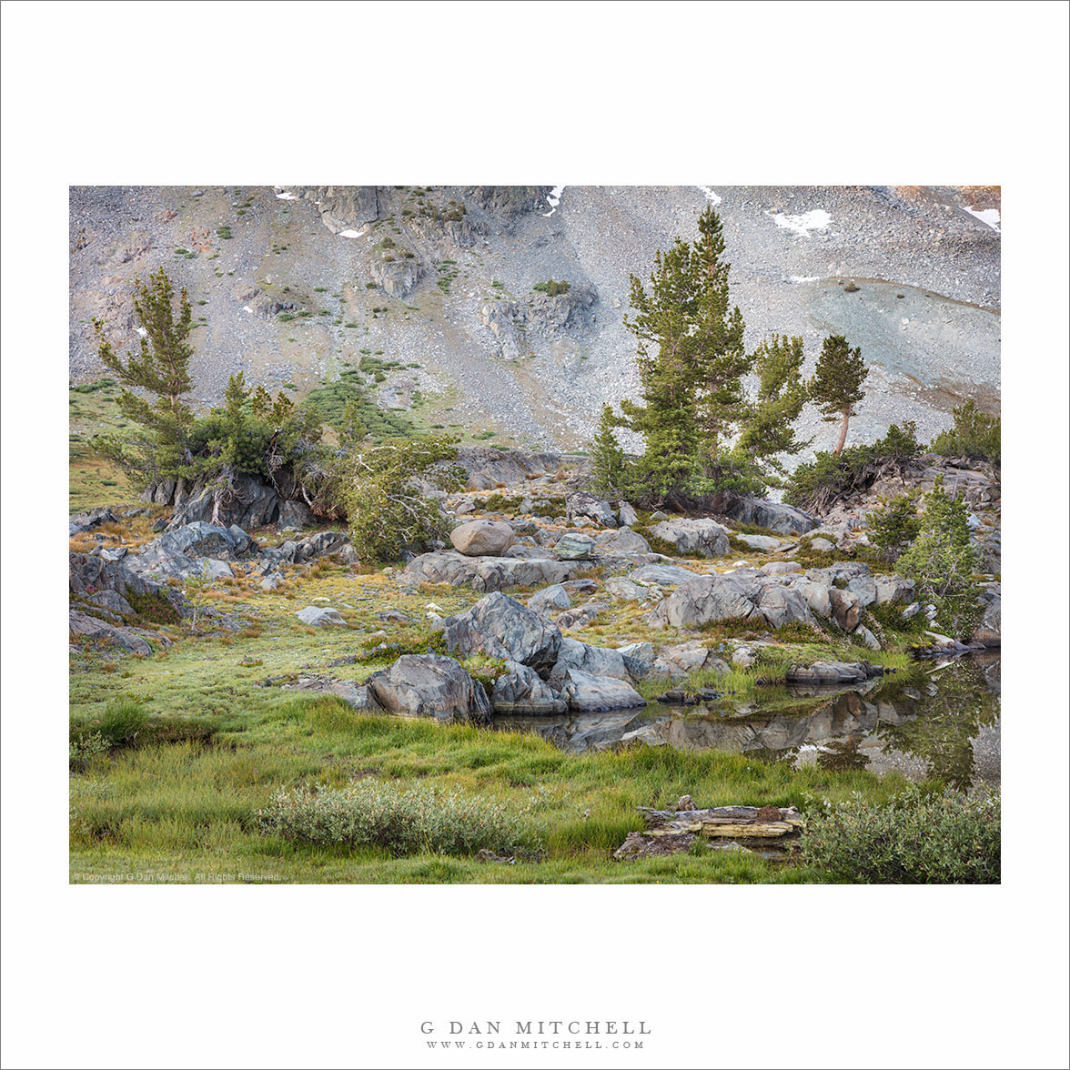 Lakeside Meadow, Bourlders, and Trees