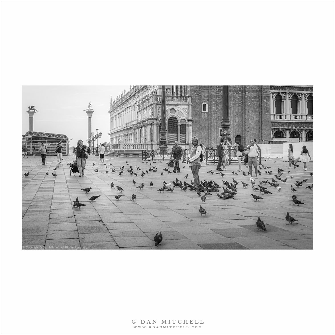 Morning, St. Mark's Square