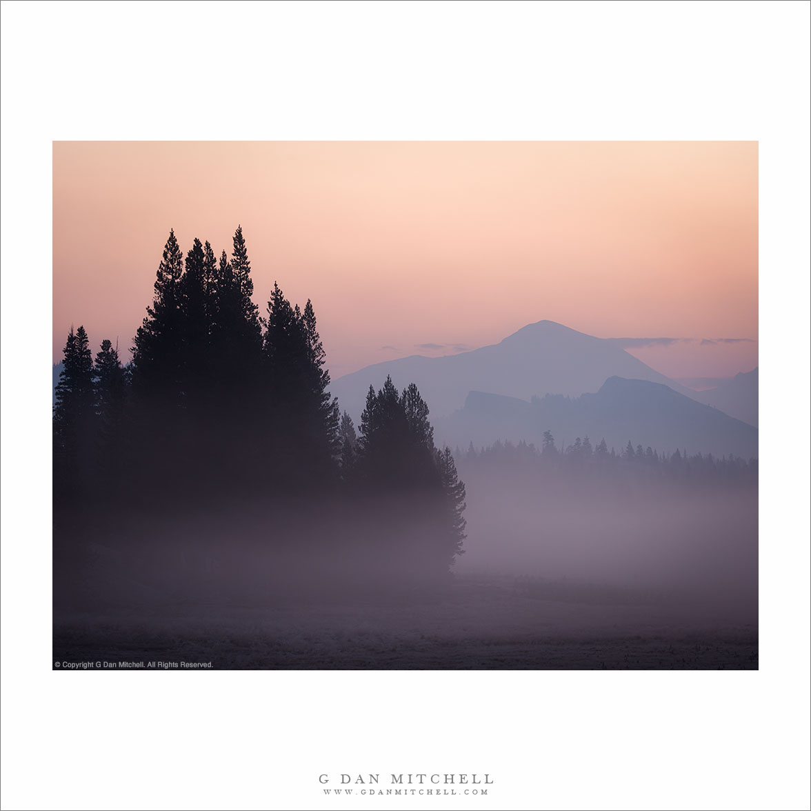 Dawn Fog and Wildfire Smoke