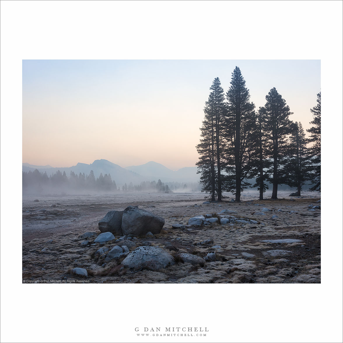 Dawn, Fog, and Frost