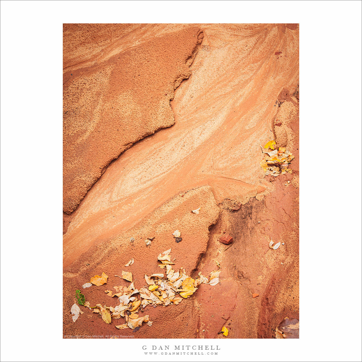 Creekbed, Autumn Leaves