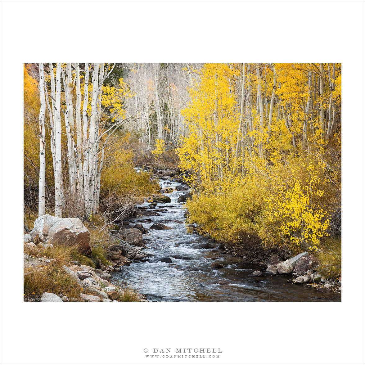 Sierra Stream, Aspen Color