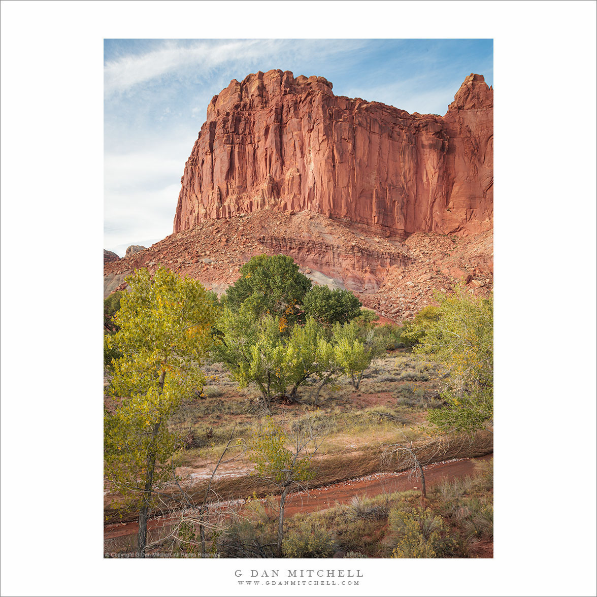Autumn Foliage and Red Rock Cliffs