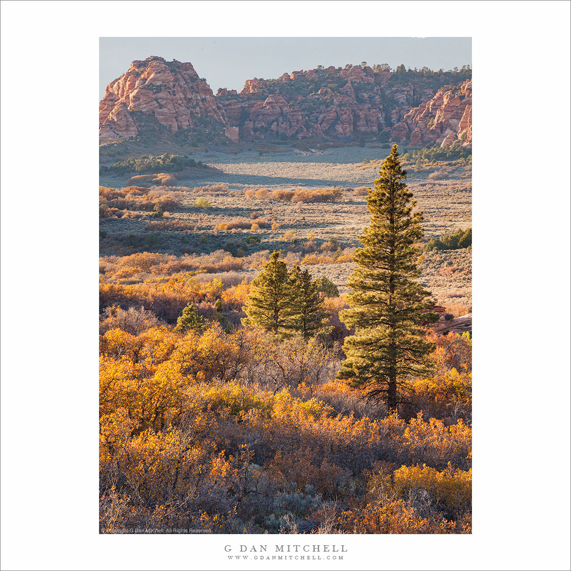 Zion High Country, Evening