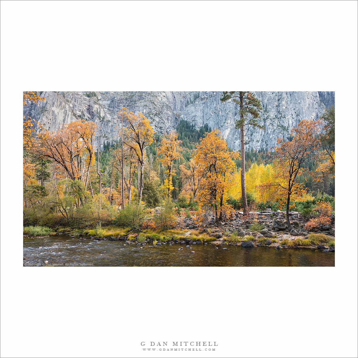 River And Autumn Trees