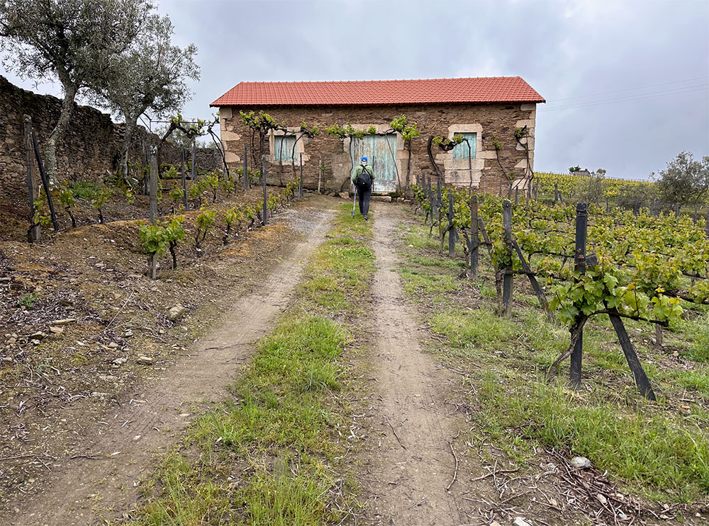 G Dan Mitchell photographing in Portugal