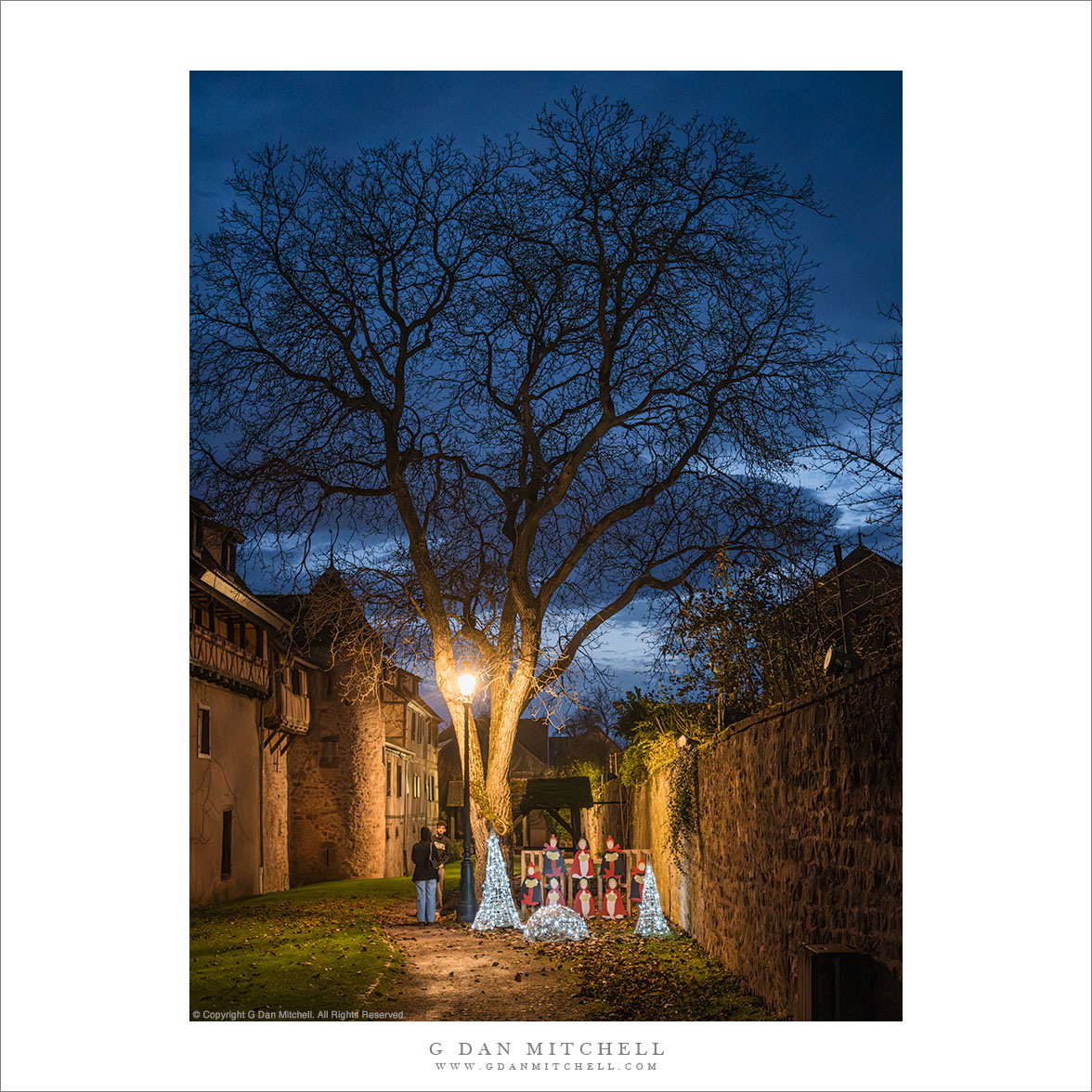 A Riquewihr Christmas Tree